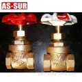 Forged BSP NPT thread Pex Brass Gate Valves